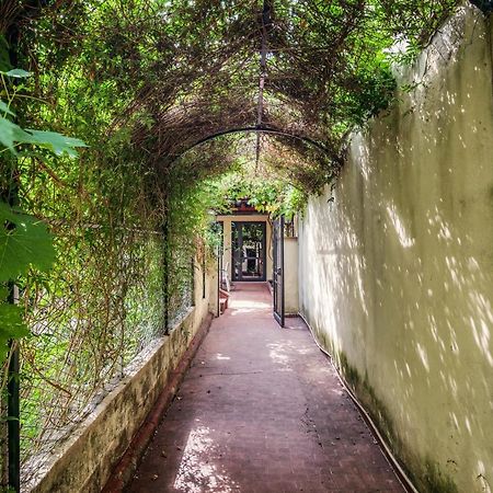 Santa Reparata Apartment With Patio And Terrace Florence Buitenkant foto